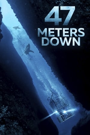 47 Metres Down (2017) Hindi Dual Audio 300MB