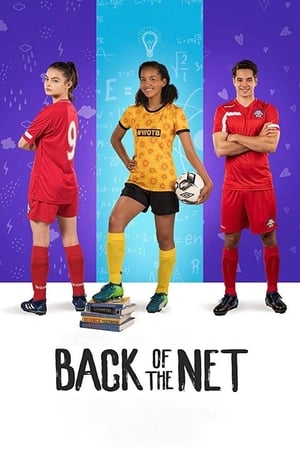 Back of the Net (2019) Hindi Dual Audio [800MB]