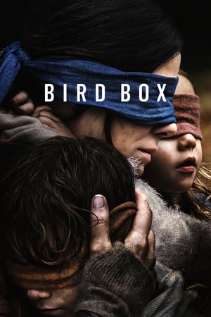 Bird Box 2018 Hindi (HQ DUBBED) Dual Audio WehRip [1.1GB]