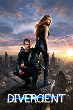 Divergent (2014) Hindi Dual Audio 450MB