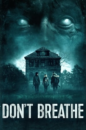 Don't Breathe (2016) Hindi Dual Audio 300MB