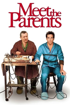 Meet the Parents 2000 Hindi Dual Audio 350MB