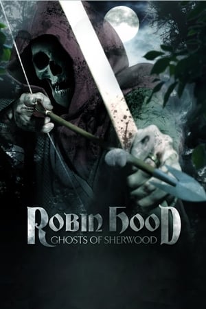 Robin Hood: Ghosts of Sherwood (2012) Hindi Dual Audio 350MB