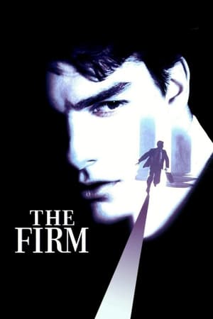 The Firm (1993) Hindi Dual Audio [980MB]